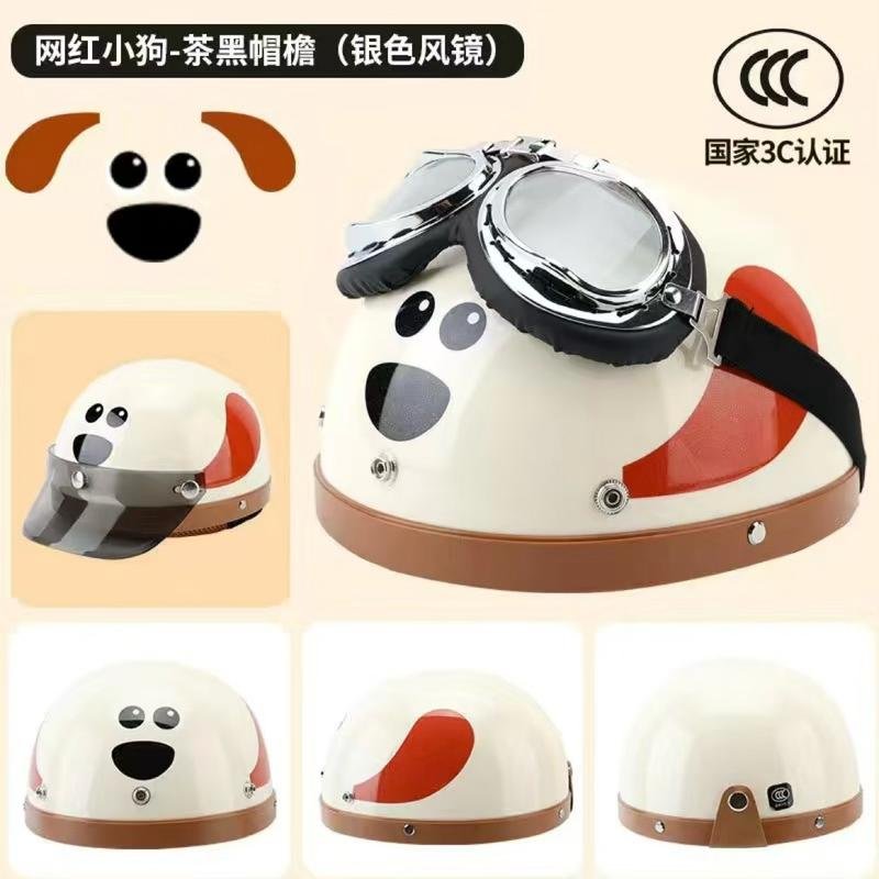 Motorcycle Helmet 13