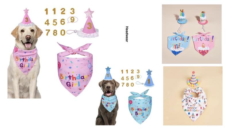 Birthday Party Hat&Bandana