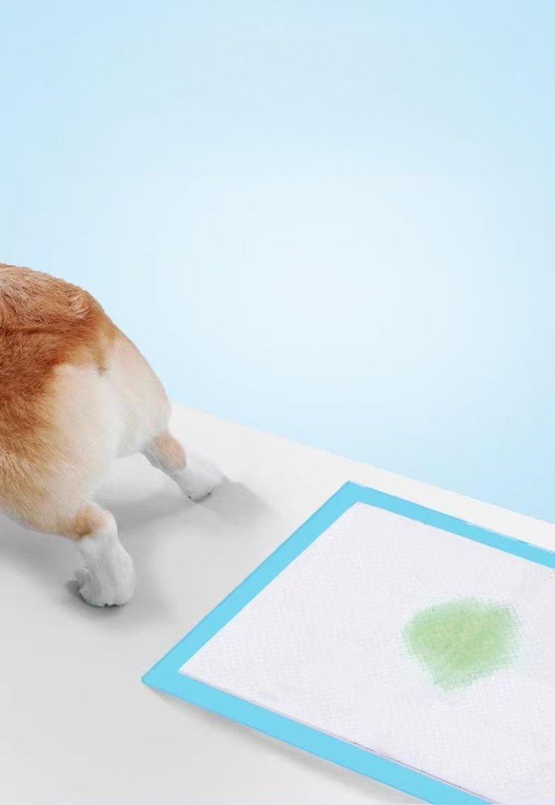 Pet Pee Pad