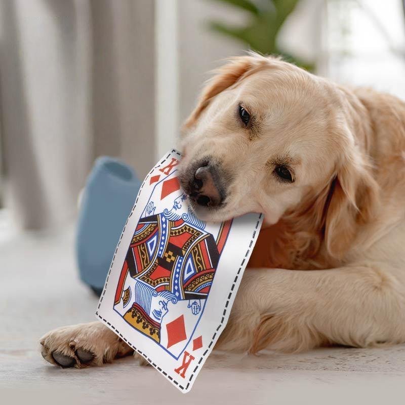 Pet Toys A