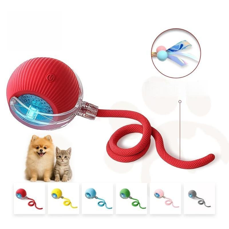 Pet Toys C