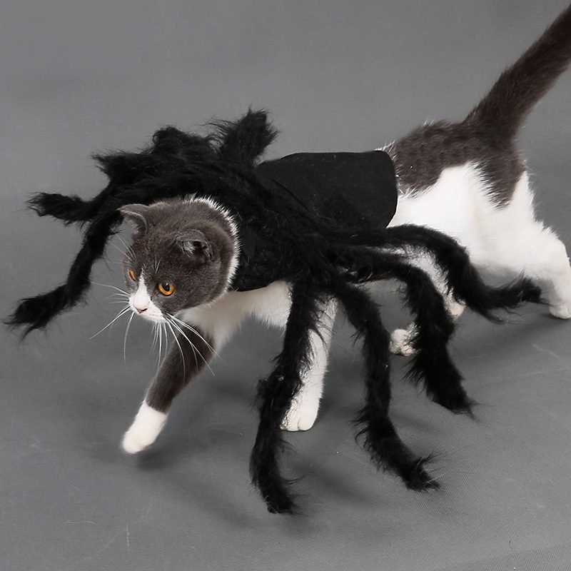 Halloween Pet Spider Costume